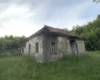 Блогер показав українське село-привид, яким вільно ходять косулі