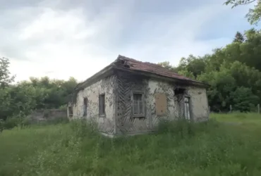 Блогер показав українське село-привид, яким вільно ходять косулі