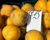 У Києві на вихідних 8-9 серпня відбудуться продовольчі ярмарки (адреси)