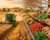 Чому при великому врожаї продукти недешеві