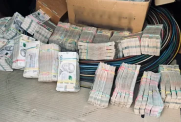 На Київщині викрито конвертаційний центр, що обслуговував тіньовий агробізнес