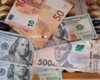 Курс валют 31 серпня 2026: скільки коштують долар, євро і злотий