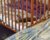 У Херсоні снаряд влетів у ліжечко з дворічним хлопчиком, але не вибухнув (фото)