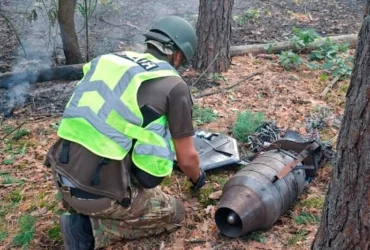 У Голосіївському районі через уламки дрона сталася лісова пожежа