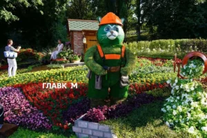 Як Київ відзначає День Незалежності: програма заходів та виставок