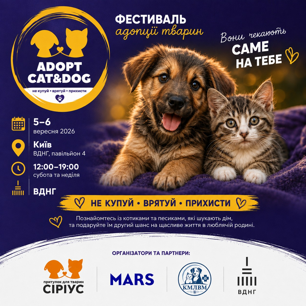 Шанс знайти улюбленця: у Києві пройде фестиваль котів і собак із притулків фото 1