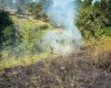 На Київщині оголошено надзвичайний рівень пожежної небезпеки