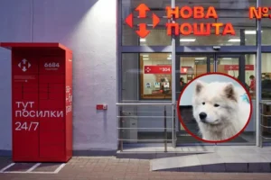 Гендиректор «Нової пошти» розказав про «найбільшу репутаційну кризу» компанії