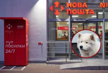 Гендиректор «Нової пошти» розказав про «найбільшу репутаційну кризу» компанії