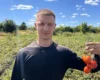 Фермер розповів, як захистити томати від спеки: що радить робити