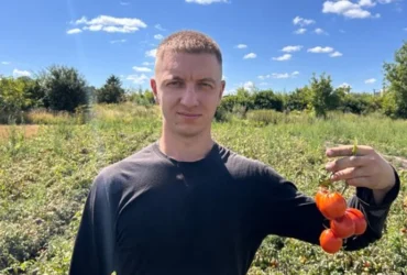 Фермер розповів, як захистити томати від спеки: що радить робити