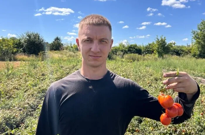 Фермер розповів, як захистити томати від спеки: що радить робити