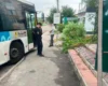 У Сквирі рейсовий автобус збив жінку на зупинці