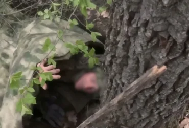 ССО розбудили окупантів у схованці та без єдиного пострілу взяли у полон (відео)