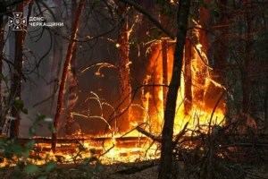 На Черкащині спалахнула масштабна лісова пожежа (фото)