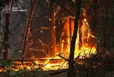 На Черкащині спалахнула масштабна лісова пожежа (фото)