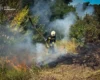 Синоптики попередили про надзвичайну пожежну небезпеку у Києві та області