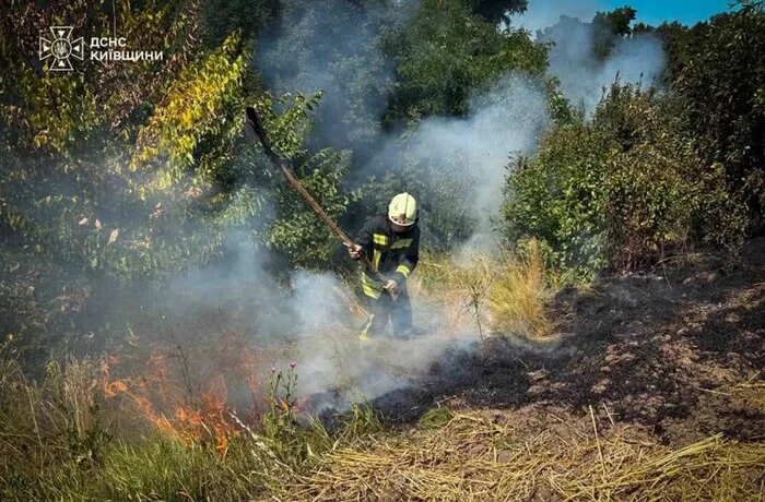 Синоптики попередили про надзвичайну пожежну небезпеку у Києві та області