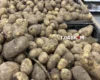 Картопля подорожчає восени? Науковець пояснив, як спека вплинула на врожай