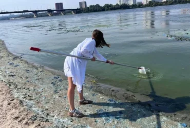 «Цвітіння» Дніпра: столичні фахівці відібрали проби води та пояснили причини явища