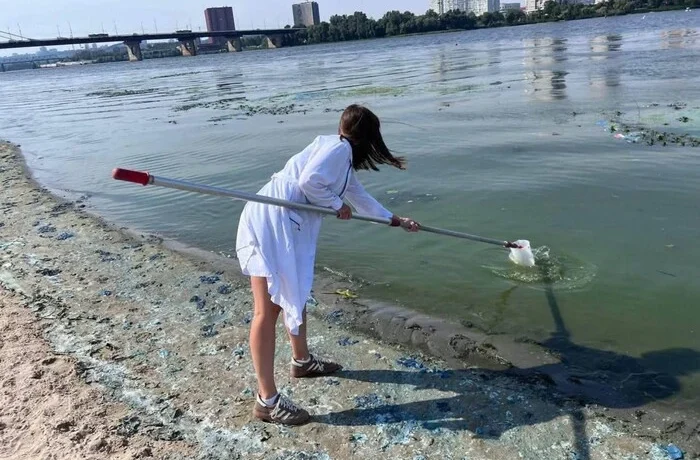 «Цвітіння» Дніпра: столичні фахівці відібрали проби води та пояснили причини явища