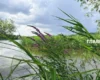 На Київ та область насувається гроза
