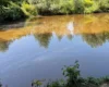 Внаслідок атаки ворога зафіксовано забруднення річки Борщагівка у Києві
