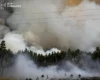 На Київщині досі палає ліс: до гасіння масштабної пожежі залучили авіацію ДСНС