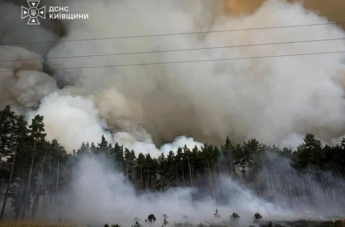 На Київщині досі палає ліс: до гасіння масштабної пожежі залучили авіацію ДСНС