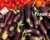 У столиці 25-30 серпня відбудуться сезонні продовольчі ярмарки (адреси)