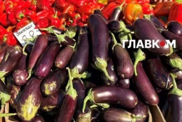 У столиці 25-30 серпня відбудуться сезонні продовольчі ярмарки (адреси)