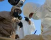 Спалах Еболи в Конго перевищив чотири тисячі хворих: вірус міг мутувати