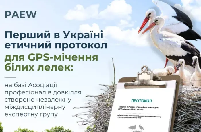 В Україні стартує проєкт GPS-моніторингу міграції білих лелек