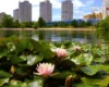 Пляжний сезон у Києві. Де купатися безпечно (список)
