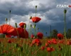 У Києві та області оголошено штормове попередження