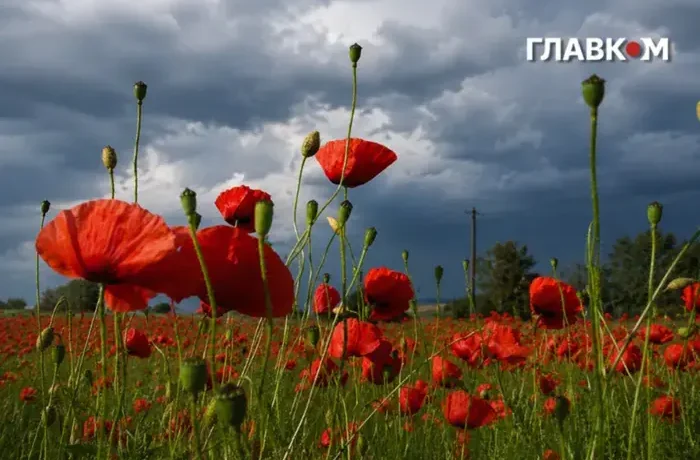 У Києві та області оголошено штормове попередження