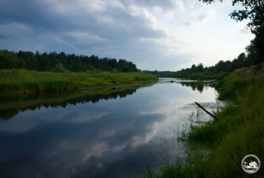 У Чорнобильській зоні виявлено рідкісні види риб, занесені до Червоної книги