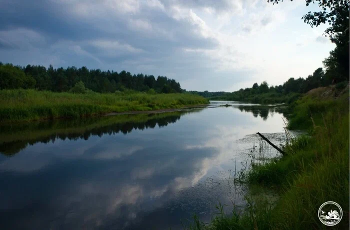 У Чорнобильській зоні виявлено рідкісні види риб, занесені до Червоної книги