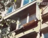 У Києві жінка викинула собаку з четвертого поверху, тварина загинула