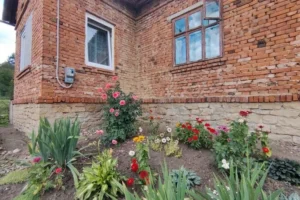 Переселенець купив на виплату занедбаний будинок за $5 тисяч та зумів відновити його