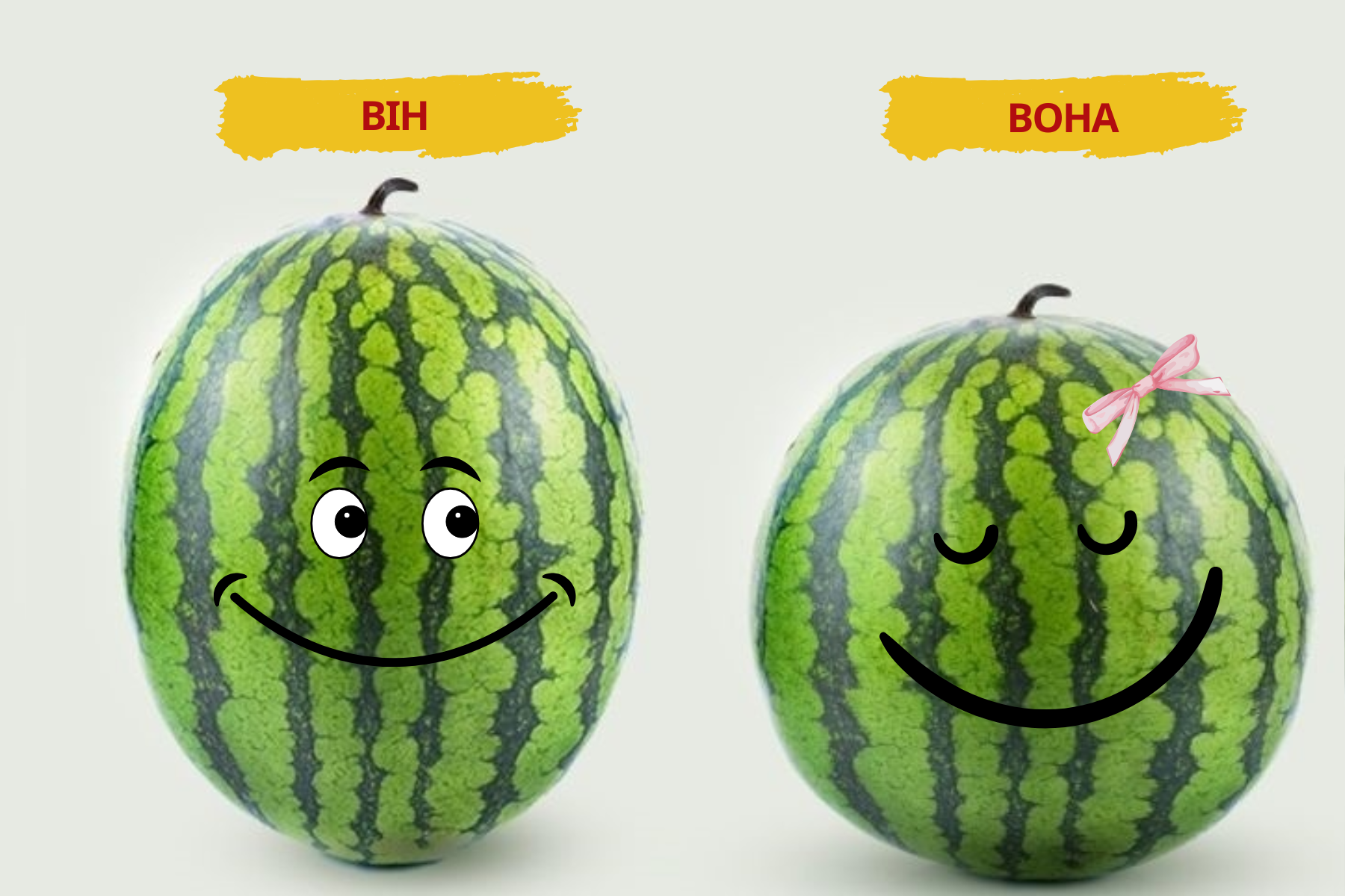 Як обрати стиглий та смачний кавун: корисні поради та головні секрети фото 5