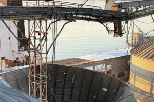 Блокада українських портів може вдарити по цінах у світі, – Мінагрополітики