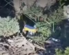 Військові повідомили, які 26 сіл звільнили під час наступу, та показали відео
