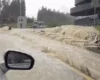 Буковель пішов під воду після потужної зливи (відео)