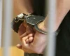 На Київщині чоловік ухилився від мобілізації, бо «йому все байдуже»: що вирішив суд