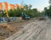 Вирубка дерев під тепломережу на Теремках: експерт запропонував альтернативне рішення