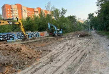 Вирубка дерев під тепломережу на Теремках: експерт запропонував альтернативне рішення