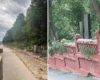 На Байковому кладовищі демонтовано старовинну цегляну огорожу (фото)