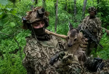 Бійці ССО під час операції полонили трьох росіян і врятували оленятко