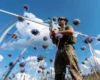 172 бої за добу: лінія фронту станом на 2 серпня 2026